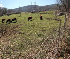 20260314_omanovac_trail_024