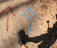 20260314_omanovac_trail_033