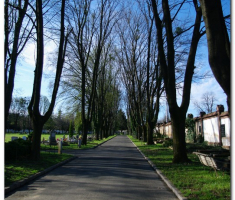 mecsek_sapice_0008