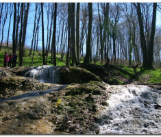 mecsek_sapice_0032