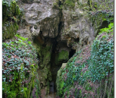 mecsek_sapice_0048