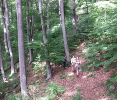 20150614_zen_klupica_007