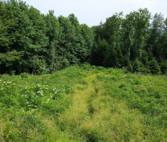 20150614_zen_klupica_009