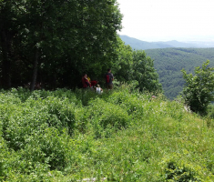 20150614_zen_klupica_014