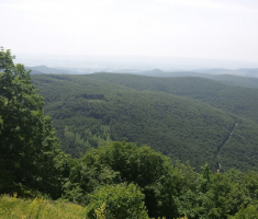 20150614_zen_klupica_022