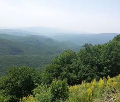 20150614_zen_klupica_024