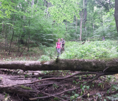 20150614_zen_klupica_035