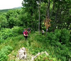 20150614_zen_klupica_042