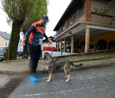 20240914_kalnik_krizevci_ktc_21km_045