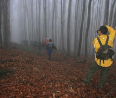 20081214_mdp_2008_003