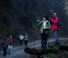 20081214_mdp_2008_012