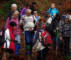 20081214_mdp_2008_023
