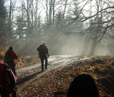 20081214_mdp_2008_024