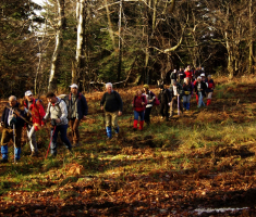 20081214_mdp_2008_028