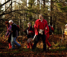 20081214_mdp_2008_029