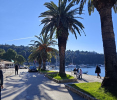 20251214_bokeski_maraton_175