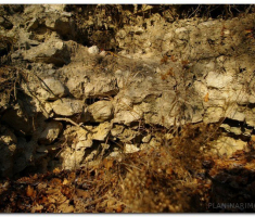 strazeman_00055