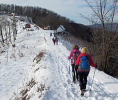 20170115_pozeska_gora_035