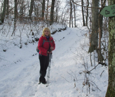 20170115_pozeska_gora_041
