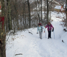 20170115_pozeska_gora_043