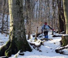 20150215_papuk_011