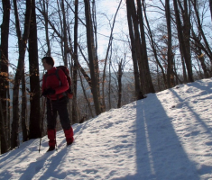 20150215_papuk_012
