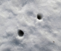 20150215_papuk_014