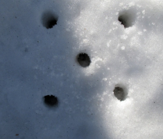 20150215_papuk_017