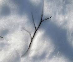 20150215_papuk_020