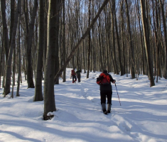 20150215_papuk_021