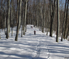 20150215_papuk_023