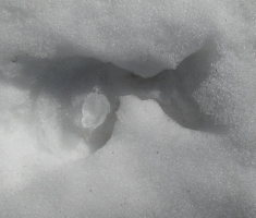20150215_papuk_025