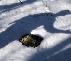 20150215_papuk_026
