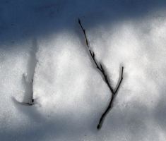 20150215_papuk_027