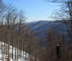 20150215_papuk_029