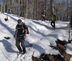 20150215_papuk_030