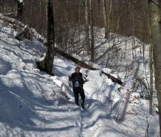 20150215_papuk_035