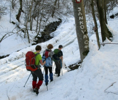 20150215_papuk_036