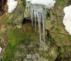 20150215_papuk_039