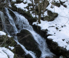 20150215_papuk_042