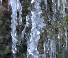 20150215_papuk_043