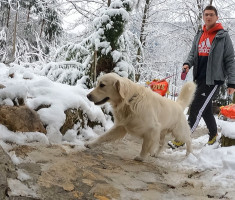 20250215_enosophia_krndija_trail_005