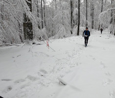 20250215_enosophia_krndija_trail_043