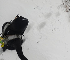 20250215_enosophia_krndija_trail_050