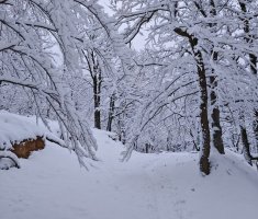 20250215_enosophia_krndija_trail_112