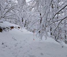 20250215_enosophia_krndija_trail_113