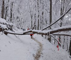 20250215_enosophia_krndija_trail_115