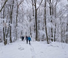 20250215_enosophia_krndija_trail_117