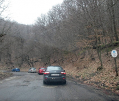20150315_mecsek_005