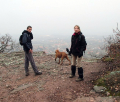 20150315_mecsek_011